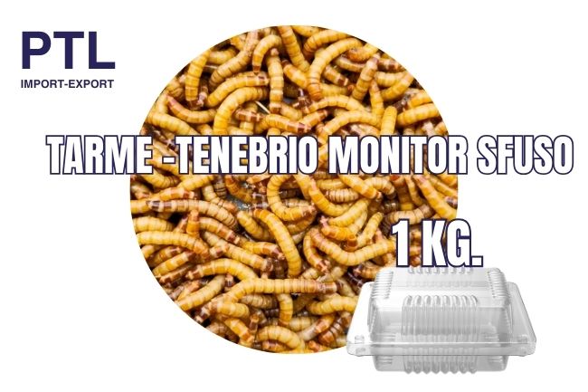PTL-RLF008 TARME -TENEBRIO MONITOR - SFUSO - 1 KG_CONFEZ